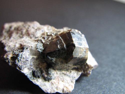 Casiterita
Krupka, Bohemia, República Checa
1 cm2 (planta del agregado cristalino); 4 x 5 mm. (cara romboidal brillante)
Varios cristales implantados en matriz de greisen. (Autor: prcantos)