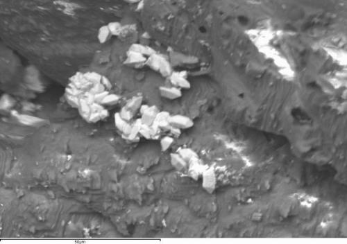 Brackebuschita
Mina El Complemento, Fuente Obejuna, Córdoba, España
Ya que vamos de especies raras...en esta los cristales son tan pequeños que estamos en el límite para obtener imágenes en las condiciones de trabajo que suelo usar con minerales. De ahí que sea algo borrosa. Todas las técnicas tienen su límite! (Autor: Cesar M. Salvan)