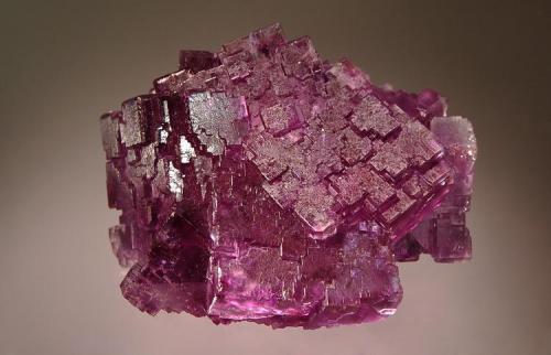 Fluorite
Berbes Mine, Ribadesella, Asturias Prov., Spain
6.0 x 7.5 cm. (Author: crosstimber)