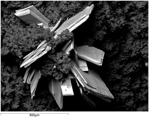 Saleeita
Mina La Commanderie, Deux-Sèvres, Francia
Los yacimientos de uranio de Deux-Sèvres en Poitou-Charentes han dado lugar a bellísimos minerales de uranio. Esta imagen se corresponde a un trabajito que aún tengo pendiente con mi amigo Jean-Marc Johannet, a quien mando un saludo si ve esto, y que se ha ido quedando atrás por temas de prioridades. (Autor: Cesar M. Salvan)