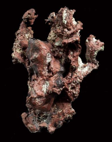 Copper
Isle Royale Mines, Houghton, Houghton Co., Michigan, USA
8x7 cm.
Fot. & Col. Juan Hernandez.
Adquired in July of 2007. (Author: supertxango)
