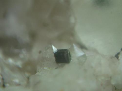 Turmalina
Belvís de Monroy - Cáceres - Extremadura - España
Turmalina terminada y Cuarzo. Detalle del cristal de turmalina escoltado por los dos cristales de cuarzo (Autor: P. apita)