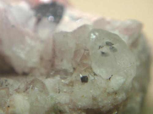 Turmalina y Cuarzo
Belvís de Monroy - Cáceres - Extremadura - España
Cristal de turmalina 1mm.
Turmalina terminada y Cuarzo (Autor: P. apita)