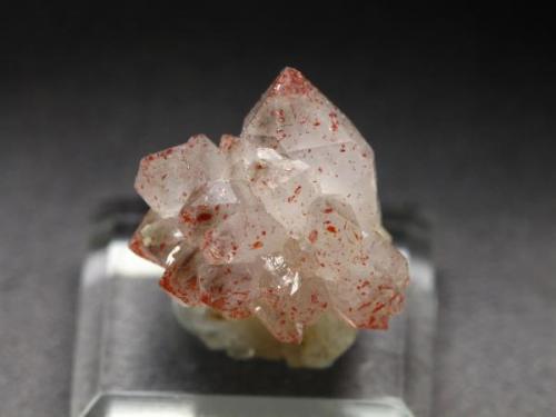 Quartz with Hematite
Jonesville, Union Co., South Carolina, USA
Size: 1.7 cm x 1.3 cm x 1.3 cm
Collected in Spring 2010
Photo & Specimen: Pro_duo’s (Author: Jordi Fabre)