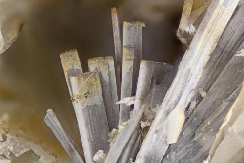 Monteregianite-(Y)
Poudrette quarry (Demix quarry; Uni-Mix quarry; Desourdy quarry; Carrière Mont Saint-Hilaire), Mont Saint-Hilaire, Rouville RCM, Montérégie, Québec, Canada
FOV=4mm (Author: Doug)
