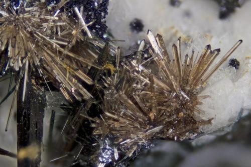 Lorenzenite
Poudrette quarry (Demix quarry; Uni-Mix quarry; Desourdy quarry; Carrière Mont Saint-Hilaire), Mont Saint-Hilaire, Rouville RCM, Montérégie, Québec, Canada
FOV=3.5mm (Author: Doug)