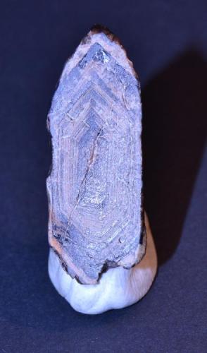 Cuarzo ahumado (sección longitudinal)
Brañes, Oviedo, Asturias
3,5 x 1,5 cm.
Una curiosidad, sección longitudinal de un cuarzo biterminado. Fantasmas ? o simplemente marcas de crecimiento del cristal (Autor: Quexigal)