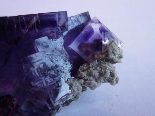Fluorita<br />Jaimina Mine, Obdulia vein, Caravia mining area, Trechorio, Carrales, Caravia, Comarca Oriente, Principality of Asturias (Asturias), Spain<br />6 x 4,5 cm.<br /> (Autor: javier ruiz martin)