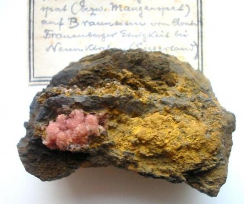 Rhodochrosite, limonite
Frauenberger Einigkeit mine, Neunkirchen, Siegerland, Germany.
9 x 5,5 cm
The Frauenberger Einigkeit mine is one of the oldest Siegerland locations for Rhodochrosite. It produced scalenohedrons up to 3 cm long before the famous Wolf mine specimens were known. Neunkirchen rhodochrosites are extremely rare! (Author: Andreas Gerstenberg)