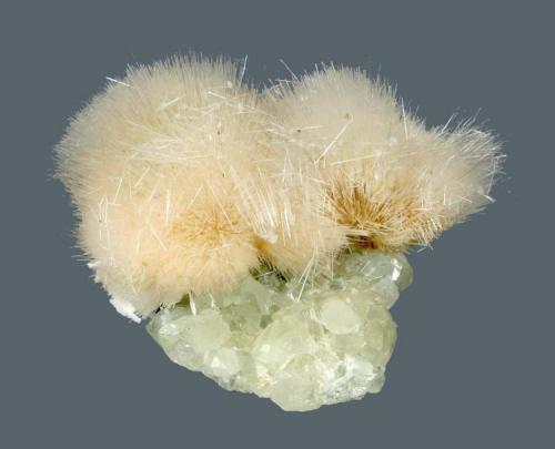 Natrolite and datolite
Upper New Street quarry, Paterson, Passaic County, New Jersey, USA
8.8 x 7.5 cm
Natrolite sprays atop datolite (Author: Frank Imbriacco)