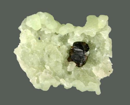 Sphalerite and prehnite
Millington Quarry, Bernards Township, Somerset County, New Jersey, USA
5 x 4.2 cm
A 1.3 cm flattened sphalerite crystal due to pseudomorphing after anhydrite (Author: Frank Imbriacco)