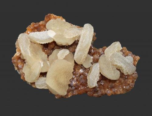 Calcite and stilbite
Trap Rock Industries Moores Station Quarry, Hopewell, Mercer County, New Jersey, USA
6.8 x 4 cm
Calcite crystals to 2.1 cm on stilbite (Author: Frank Imbriacco)