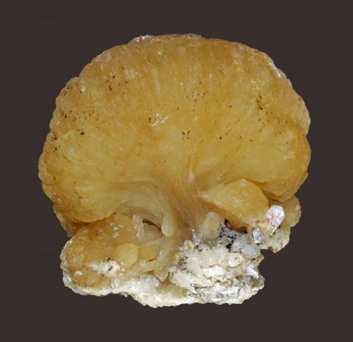 Stilbite
Lower New Street Quarry, Paterson, Passaic County, New Jersey, USA
7.2 x 7 cm
Stilbite half bow tie with heulandite (Author: Frank Imbriacco)