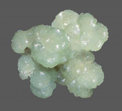 Prehnite
Lower New Street Quarry, Paterson, Passaic County, New Jersey, USA
9 x 8.7 cm
Knobby, botryoidal prehnite after anhydrite with a look similar to the best arsenian pyromorphite from Bunker Hill (Author: Frank Imbriacco)