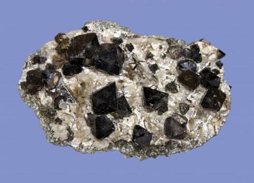 Magnetite and pyrite
Laurel Hill, Secaucus, Hudson County, New Jersey, USA
8.8 x 5.7 cm
Lustrous magnetite crystals to 1.5 cm with pyrite (Author: Frank Imbriacco)