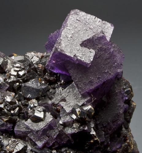 Fluorite and sphalerite
Rosiclare Mine, Rosiclare Sub-District, Illinois - Kentucky Fluorspar District, Hardin Co., Illinois, USA
10x9 cm.
Fot. & Col. Juan Hernandez.
Adquired in November of 2011.

Detail of the previous specimen (Author: supertxango)