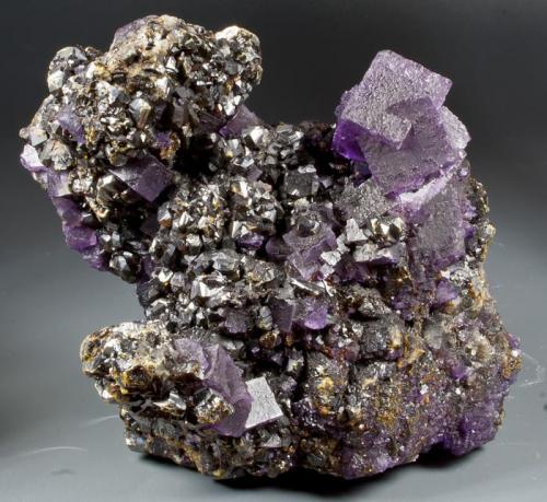 Fluorite and sphalerite
Rosiclare Mine, Rosiclare Sub-District, Illinois - Kentucky Fluorspar District, Hardin Co., Illinois, USA
10x9 cm.
Fot. & Col. Juan Hernandez.
Adquired in November of 2011. (Author: supertxango)