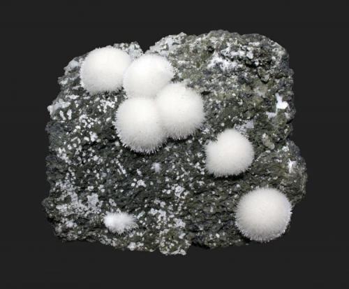 Natrolite
Millington Quarry, Bernards Township, Somerset County, New Jersey, USA
7.6 x 7 cm
Natrolite spheres to 1.5 cm on scoria (Author: Frank Imbriacco)