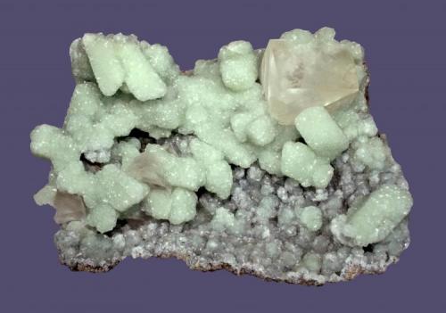 Prehnite and calcite
Weldon Quarry, Watchung, Somerset County, New Jersey, USA
12.5 x 8.6 cm
Calcite crystals to 3.2 cm on prehnite epimorphs after glauberite (Author: Frank Imbriacco)