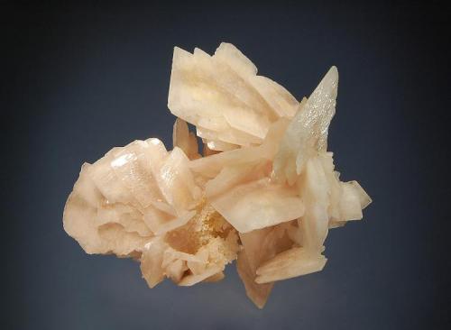 Barite
Marmora Mine, Nebida, Carbona-Iglesias Prov., Sardinia, Italy
6.8 x 8.2 cm.
Thin tabular barite crystals to 3.2 cm from an old Pb-Zn mine. (Author: crosstimber)