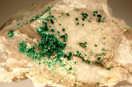Meta-torbernite
Assuncao Mine, Aldea Nova, Viseu Dist., Portugal
6.4 x 9.5 cm, FOV ~ 4.0 cm.
Emerald green crystals to 3.0 mm on quartz. (Author: crosstimber)