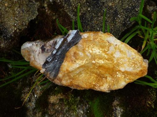 Ferberita en matriz de Cuarzo.
Minas de San Finx, Vilacoba, Lousame, A Coruña, Galicia, España.
Muestra de 12,5 x 5,5 x 5 cm.
Cristal de Hübnerita 5,5 x 1,7 cm (Autor: Rafael varela olveira)