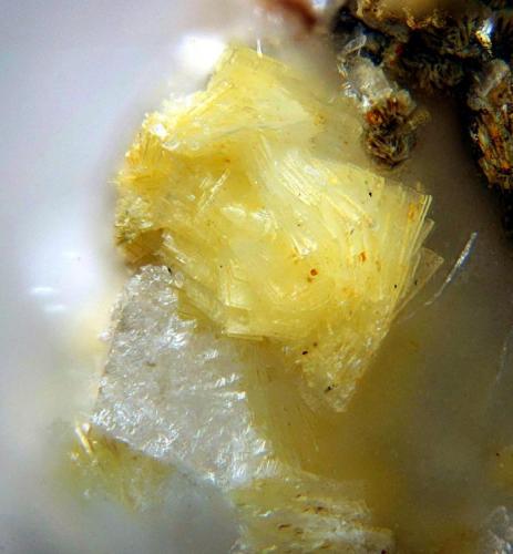 Bavenita.
Sedella, Málaga, Andalucía, España.
Grupo de cristales de 2 mm. (Autor: Antonio Carmona)