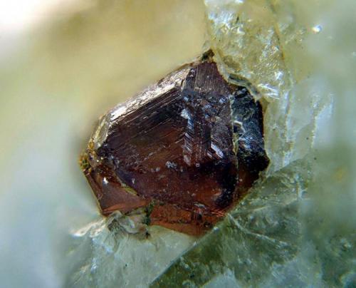 Granate.
Sierra Albarrana, Hornachuelos, Córdoba, Andalucía, España.
Cristal de 2 mm. (Autor: Antonio Carmona)