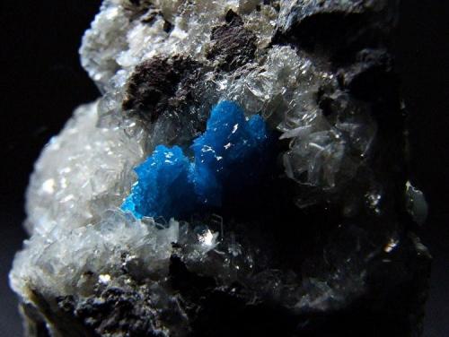 Cavansite.
Wagholi Quarry, Poona, Maharastra, India.
Cavansite 10 mm across (Author: nurbo)