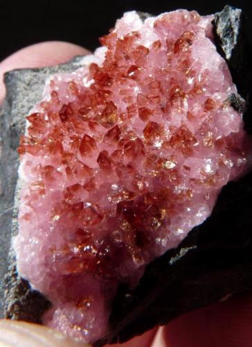 Shigaite and Rhodochrosite
N’ Chwaning 2 (KMF)
33 x 31 mm
Same as above (Author: Pierre Joubert)