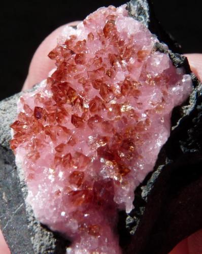 Shigaite and Rhodochrosite
N’ Chwaning 2 (KMF)
33 x 31 mm (Author: Pierre Joubert)