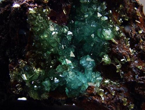 Cuprian Adamite
Ojuela Mine, Mun de Mapimi, Durango, Mexico.
FOV 15 x 15 mm (Author: nurbo)