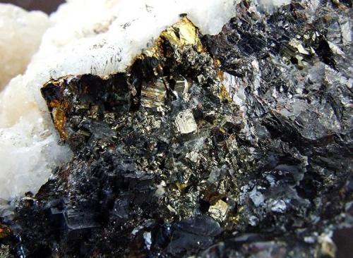 Dolomite on Galena, Pyrite and Chalcopyrite.
Boldut Mine, Cavnic, Maramures, Rumania.
FOV 25 x 20 mm approx (Author: nurbo)