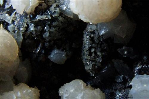 Dolomite on Galena and Chalcopyrite.
Boldut Mine, Cavnic, Maramures, Rumania.
FOV 15 x 10 mm approx. (Author: nurbo)
