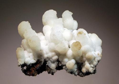 Aragonite
Droujba Mine, Laki District, Plovdiv Oblast, Bulgaria
7.5 x 8.0 cm.
Aragonite fingers to 3.5 cm with hematite stained calcite. (Author: crosstimber)