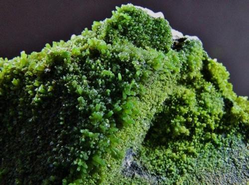 Pyromorphite.
Burgam mine, Stiperstones, Shropshire, England, UK.
FOV 30 x 25 mm approx (Author: nurbo)