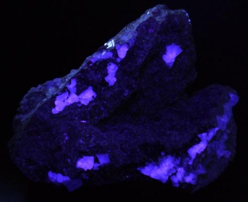 Siderite, Fluorite, Calcite, Dolomite/Ankerite. under LW UV
Haggs Mine, Alston Moor, Cumbria, England, UK.
145 x 100 mm (Author: nurbo)