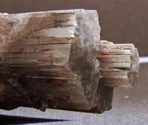 Aragonite.
Enguidanos, Cuenca, Castilla-La-Mancha, Spain.
FOV 25 x 25 mm approx (Author: nurbo)