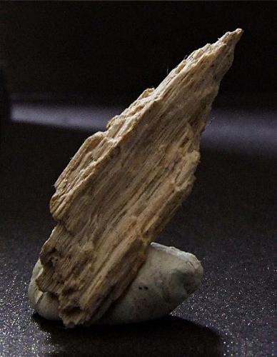 Cerussite.
Old Brandley Mine, Catbells, Keswick, Cumbria, England, UK.
30 x 10 mm (Author: nurbo)