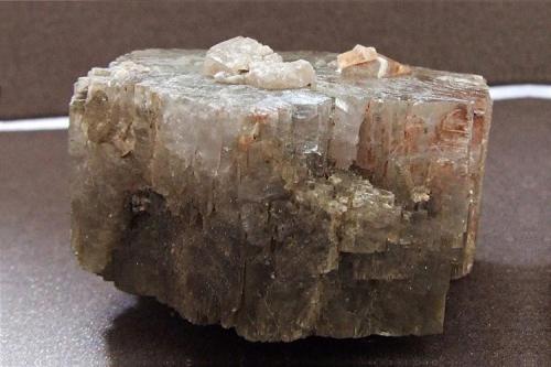 Aragonite.
Enguidanos, Cuenca, Castilla-La-Mancha, Spain.
40 x 20 mm (Author: nurbo)