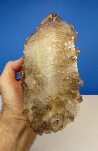 Quartz
Brandberg, Namibia
213 x 98 x 54 mm (Author: Pierre Joubert)