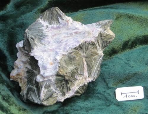 Aegirina, Charoita, Tinaksita
Macizo Murun, Sakha, Siberia, Rusia
7 x 5 x 3 cm
la Tinaksita es la area pequeña amarilla a la izquierda de la pieza. (Autor: Kaszon Kovacs)