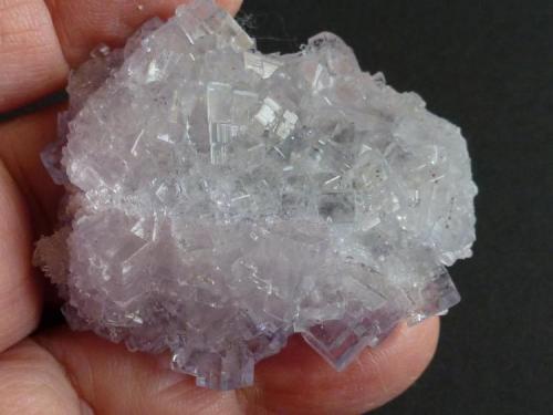 Fluorita<br />Emilio Mine, Obdulia vein, Caravia mining area, La Rubiera, Loroñe, Colunga, Comarca de la Sidra, Principality of Asturias (Asturias), Spain<br />5,5 x 4 cm.<br /> (Autor: javier ruiz martin)