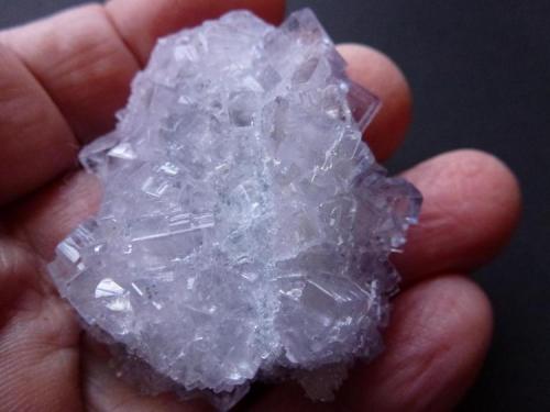 Fluorita<br />Emilio Mine, Obdulia vein, Caravia mining area, La Rubiera, Loroñe, Colunga, Comarca de la Sidra, Principality of Asturias (Asturias), Spain<br />5,5 x 4 cm.<br /> (Autor: javier ruiz martin)
