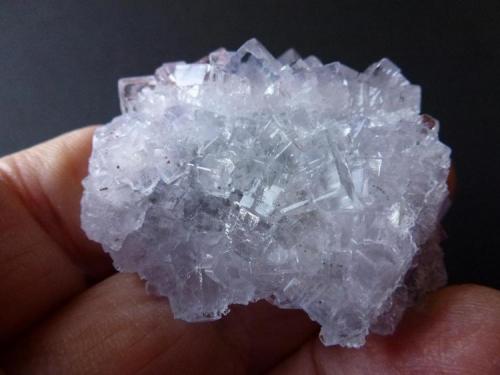 Fluorita<br />Emilio Mine, Obdulia vein, Caravia mining area, La Rubiera, Loroñe, Colunga, Comarca de la Sidra, Principality of Asturias (Asturias), Spain<br />5,5 x 4 cm.<br /> (Autor: javier ruiz martin)