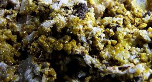 Pyromorphite.
Roughton Gill, Caldbeck Fells, Cumbria, England, UK.
FOV 30 x 10 mm approx (Author: nurbo)