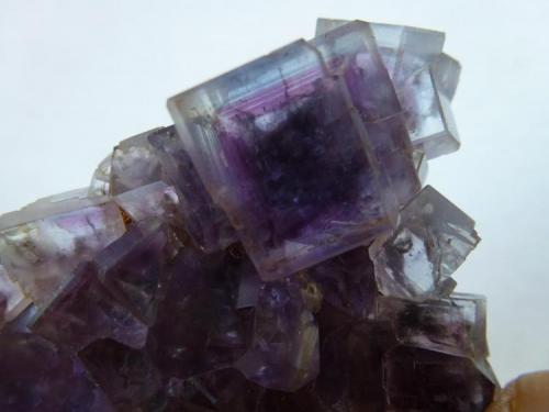 Fluorita<br />La Cabaña, Valdelmar, Berbes mining area, Berbes, Ribadesella, Comarca Oriente, Principality of Asturias (Asturias), Spain<br />5 x 5 cm.<br /> (Autor: javier ruiz martin)