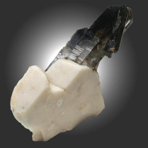 Aegirine, Smoky quartz and Orthoclase
Mount Malosa, Zomba District, Malawi
6x3 cm.
Fot. & Col. Juan Hernandez.
Adquired in November of 2010.

Other view of the same specimen (Author: supertxango)