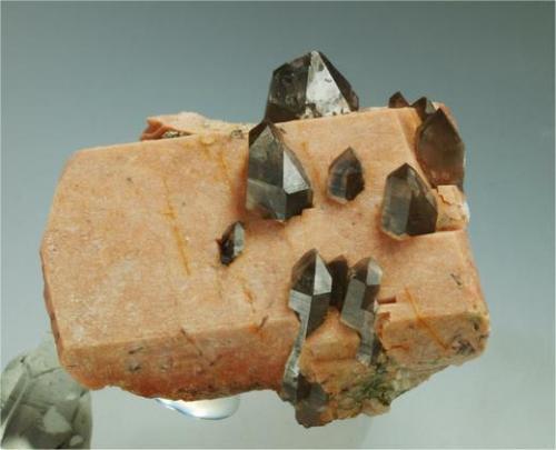 Microcline with Quartz (variety smoky quartz)<br />Mas Sever Quarry, Massabè (Mas Ceber), Sils, Comarca La Selva, Gerona / Girona, Catalonia / Catalunya, Spain<br />5 cm width.<br /> (Author: Joan R.)