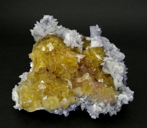 A group of cubic crystals of yellow honey color, very bright and transparent, skirted by bluish tabular crystals of Barite and covered by little scalenohedra of Calcite. 
Moscona Mine (Author: Joan Rosell)
